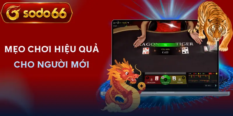 rong ho sodo66 kinh nghiem