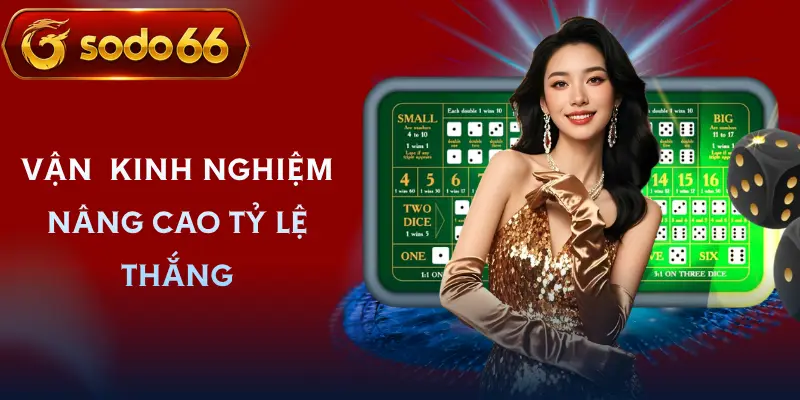 sicbo live sodo66 kinh nghiem